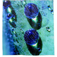 Blåregndsroppar, vatten-pärlor, Tub