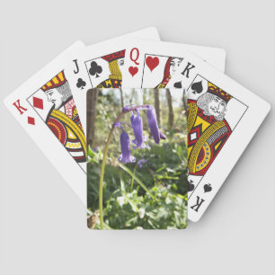 Blåringskort Casinokort
