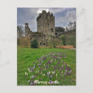 Blarney Castle, County Kork, Ireland Postcard Vykort