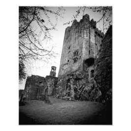 Blarney Castle Fototryck