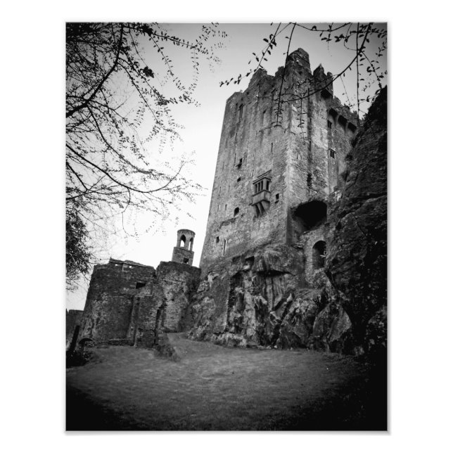 Blarney Castle Fototryck (Framsidan)