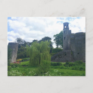 Blarney Castle Grounds Vykort