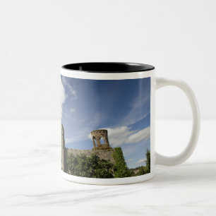 Blarney Castle, Irland Två-Tonad Mugg