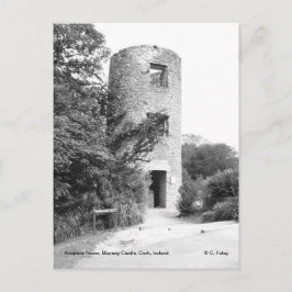 Blarney Castle Torn vycard Vykort