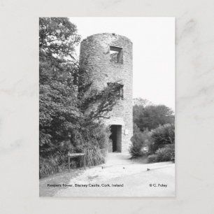Blarney Castle Torn vycard Vykort