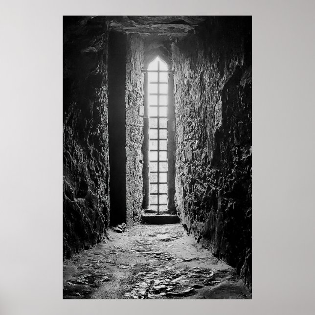 Blarney Defensiv Window Poster (Framsidan)