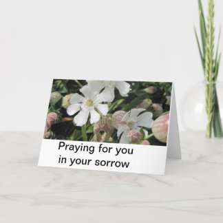 BlåsaCampions, Cornwall Kort