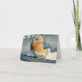 Blåsångare av lyckan tack kort