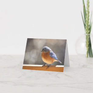 Blåsångare Notecard - tom insida Kort
