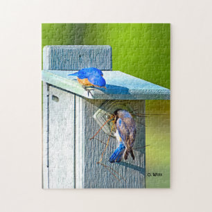 Blåsångare som 020 bygga bo 11x14 pussel 252,