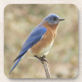 Blåsångarekustfartyg Underlägg