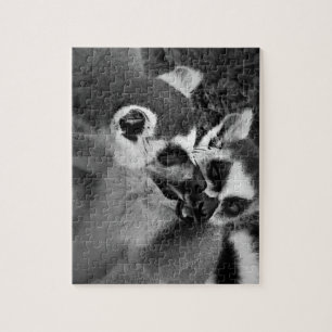 Blåsiga citurpar i ring som äter vattenmelon pussel