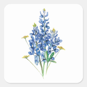 Blåsippor och vilda blommor fyrkantigt klistermärke