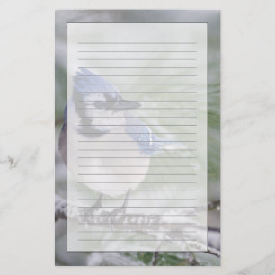 Blåskrika, Cyanocitta cristata Brevpapper
