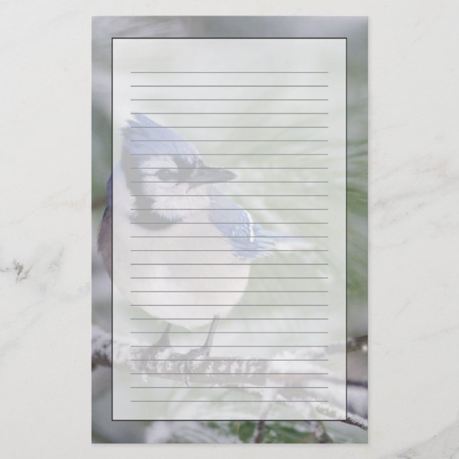 Blåskrika, Cyanocitta cristata Brevpapper (Framsida)