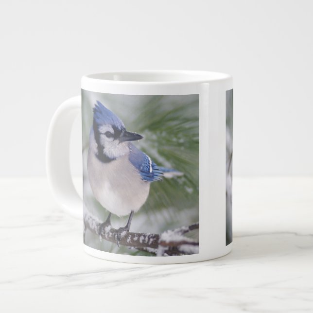 Blåskrika, Cyanocitta cristata Jumbo Mugg (Framsida vänster)