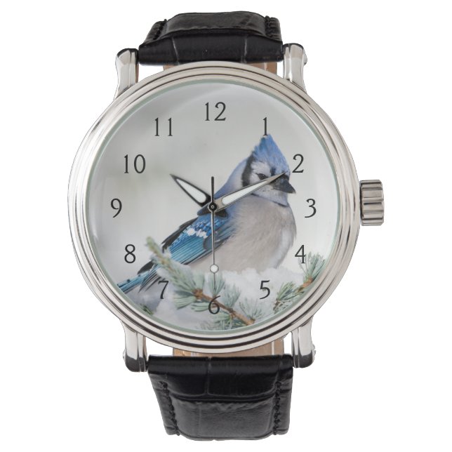 Blåskrika i blå atlasceder armbandsur (Framsida)
