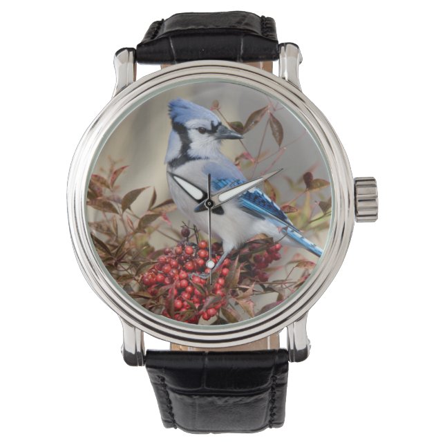 Blåskrika i Nandina Heavenly Bamboo Armbandsur (Framsida)