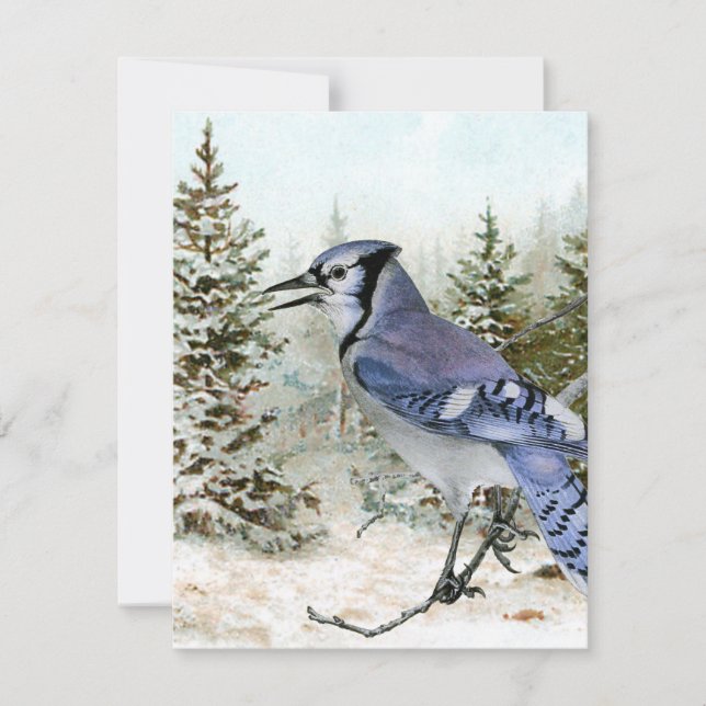 Blåskrika Snö Skog Jul Helg Fågel Natur Julkort (Framsida)