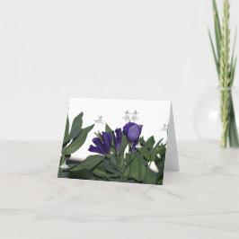 Blåskuggans Älvor Kort