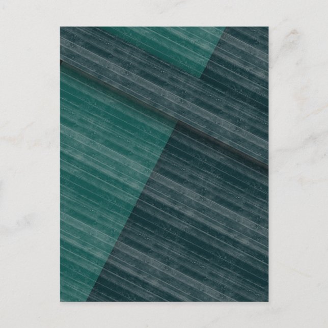 blåsor vykort (Framsida)