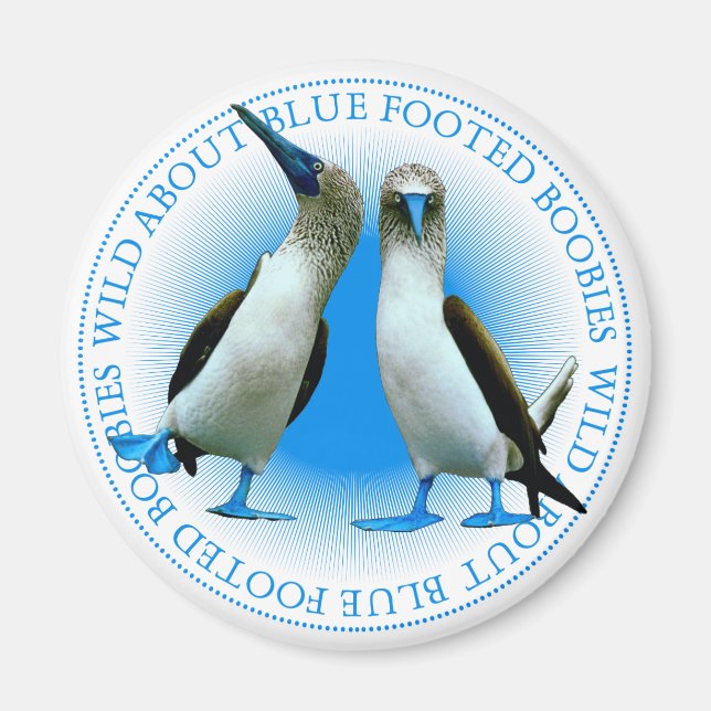 Blåstjärtad rävfåglar Galapagosöarna Souvenir Magnet (Framsidan)