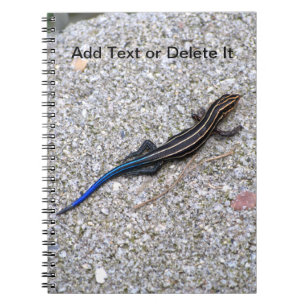 Blåstjärtad skink anteckningsbok med spiral