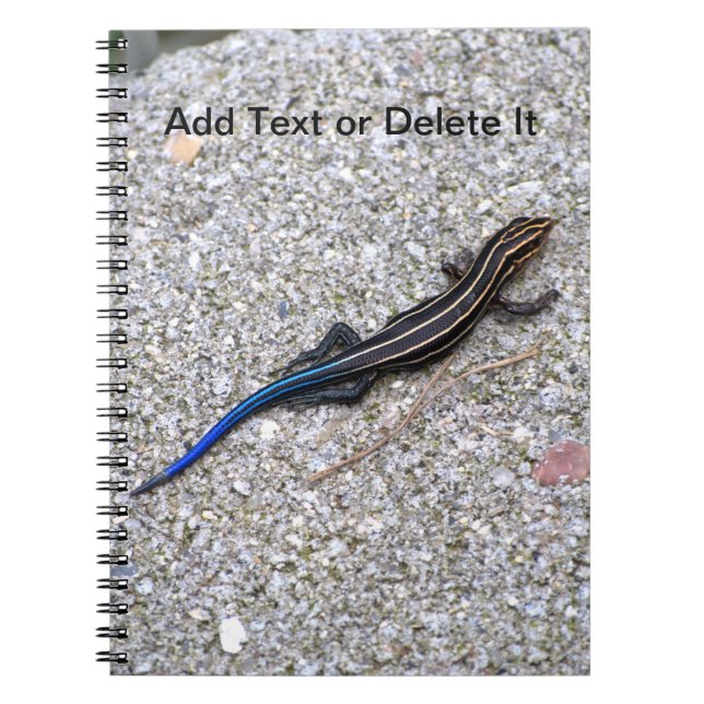 Blåstjärtad skink anteckningsbok med spiral (Framsidan)