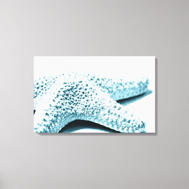 Blåstjärtar Canvastryck (Framsida)