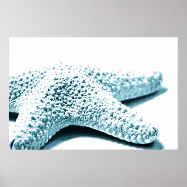 Blåstjärtar Poster (Framsidan)