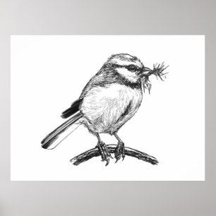 Blåstjärtfågel bläck teckning poster