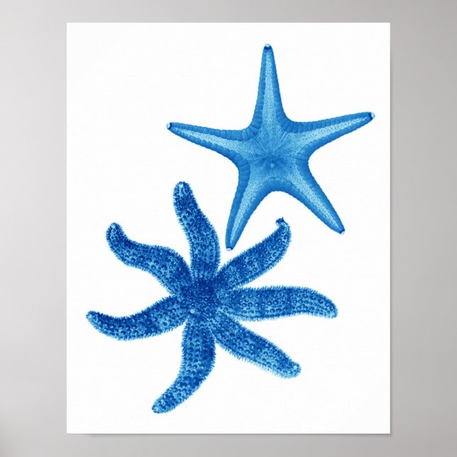 Blåstjärtfenans nr 5 poster (Framsidan)