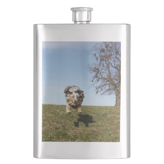 Blåstömningshoppare i australian shepherd fickplunta (Framsidan)