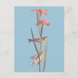 Blåstövlarare i Sång Vykort