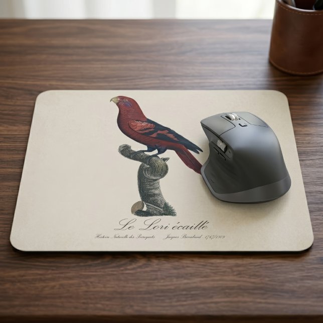 Blåstrimig lorikit, Trichoglossus reticulatus Musmatta (Blue-Streaked Lory, Trichoglossus reticulatus. Mouse Pad)