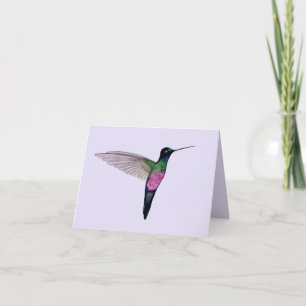 Blåstrupig Starfrontlet Hummingbird Kort