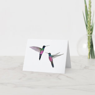 Blåstyrda Starfrontlet Hummingbird Kort