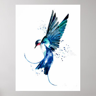 BlåSvalt fåglar Poster