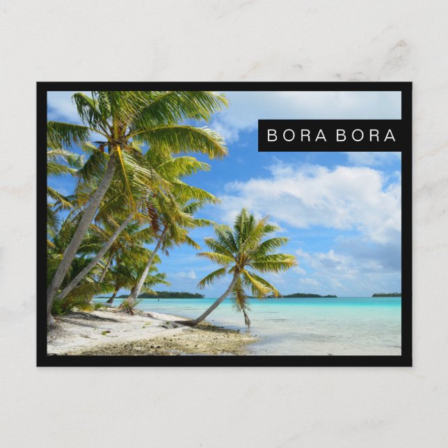 Blåsvart gräns-vykort i handflatan vykort (Framsida)