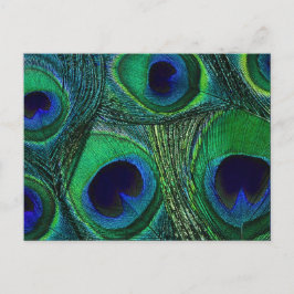 Blåt Grönt för peacock Feather Print/Mönster Vykort