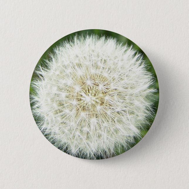 blåtjur knapp (Framsida)