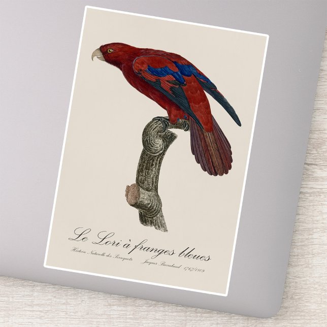 Blåtofslori  klistermärken (Long-Tailed Red Lory, Trichoglossus borneus. Sticker)