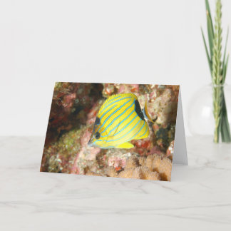 Blåtrådig fjäril kort