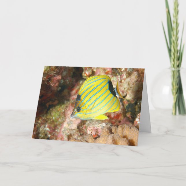 Blåtrådig fjäril kort (Framsida)