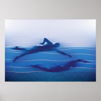 Blåtrådiga simmer Silhouettes Poster