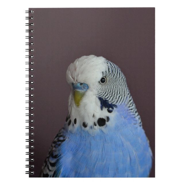 Blått älskvärda Budgie Anteckningsbok (Framsidan)