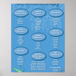 Blått Aromaterapischema Poster