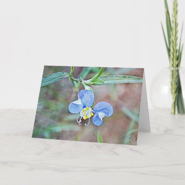 Blått asiatiskt Vild för blomma Makroanteckningsko Kort (Framsida)