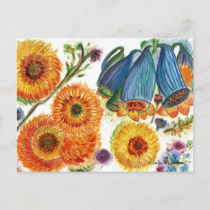 Blått Bell Zinnia Flower vycard2 Vykort
