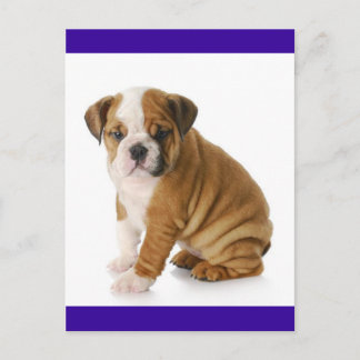 Blått blått vykort för brittiska bulldog Puppy Hun